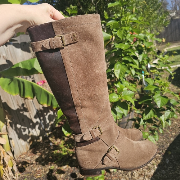 UGG Shoes - Ugg CYDNEE Fawn Brown Suede  Knee High Riding Boots with Buckles 6.5